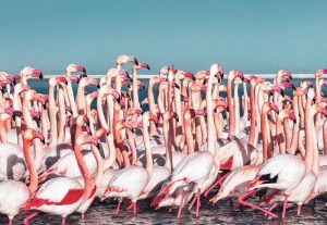 kazpulse-1772323408-n0XVLezS