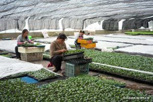 kazpulse-1772438463-RgpMR8lf