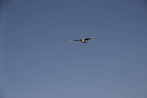 kazpulse-1772496121-9n0a7Vmk
