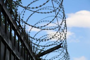 kazpulse-1772496161-QrIKLASL