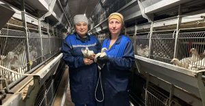 kazpulse-1772582437-3sjYVEH4