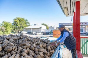 kazpulse-1772582476-IeIJGJ93