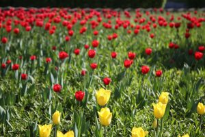 kazpulse-1772669019-gcCwtnG4