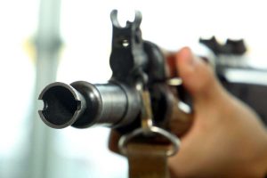 kazpulse-1772669024-vOYowykk