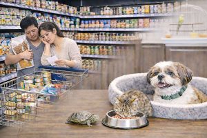 kazpulse-1772755296-t2EefRnj