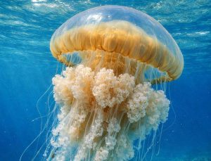 kazpulse-1772755442-bHBY9yZG