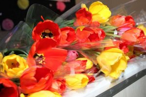 kazpulse-1772841692-qbKZ563Z