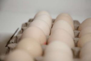 kazpulse-1772841849-nYfk0OVS