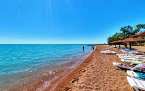 kazpulse-1773360280-77BREsrI