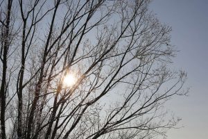 kazpulse-1773446646-u6ArTCN9