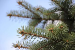 kazpulse-1773878608-Hq8WK7nc