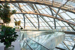 kazpulse-1773878664-jNupodlS