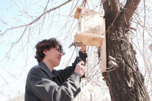 kazpulse-1773964951-67GXXkuZ