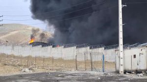 kazpulse-1773965156-BcC9heQ8