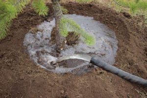 kazpulse-1774569715-THJVcLgy