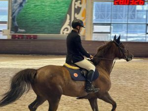 kazpulse-1774778446-4BgJpOqO