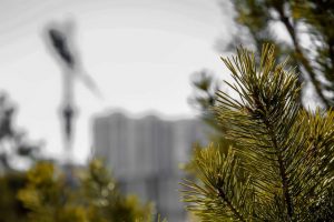 kazpulse-1774861240-zRDN5HLs