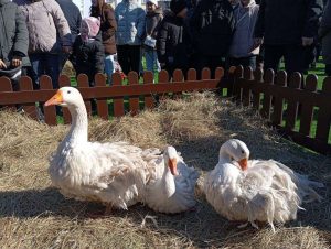 kazpulse-1774915296-iK5l0rPS