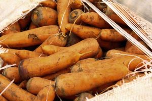 kazpulse-1774915378-FPm3AWc6