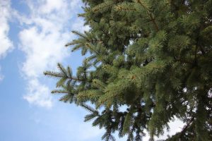 kazpulse-1775088231-KI1WBOHC