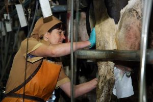 kazpulse-1775088246-ENtaKwc4