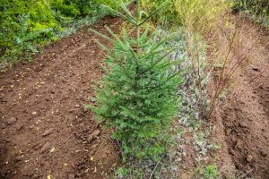 kazpulse-1775174576-YgljdIOE