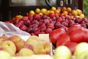 kazpulse-1775174648-QFhqtG1f