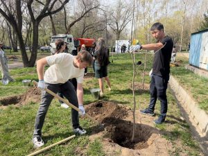 kazpulse-1775300429-eb2xvBnH