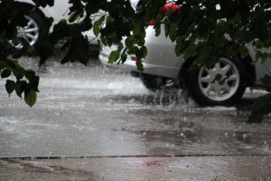 kazpulse-1775466043-8MRfGnkd