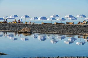 kazpulse-1775520067-86xdCqNT