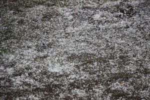 kazpulse-1775606775-pAHjugL3