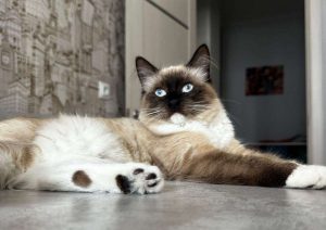 kazpulse-1775693134-hAt3NnbW