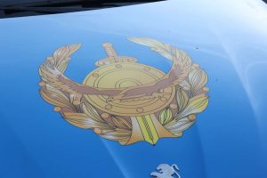 kazpulse-1778644826-47KCBFL5