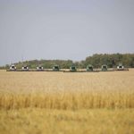 Премьер-министр распорядился обеспечить сохранность урожая