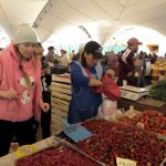Свыше семи тысяч тонн продукции представили на ярмарках «Дала дәмі»