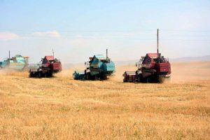 kazpulse-1791331373-nsp2iTyK