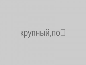 kazpulse-1791439566-VIxlClt0