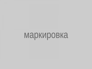 kazpulse-1791590619-gbyQaI8M