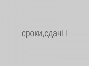 kazpulse-1791590798-ELPP5Cn4