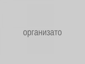 kazpulse-1791590972-oiR1njdr